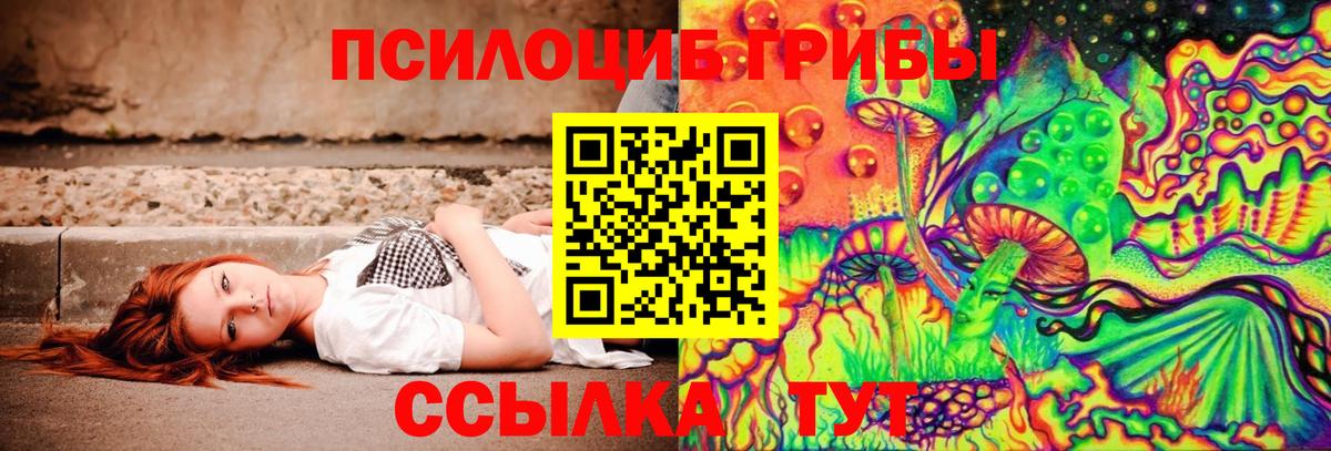 Псилоцибиновые грибы Cubensis Кириши