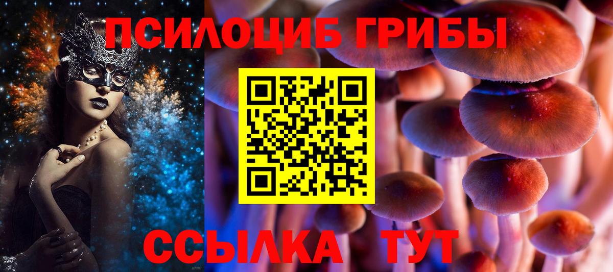 Галлюциногенные грибы прущие грибы  Вход с VPN  Кириши 